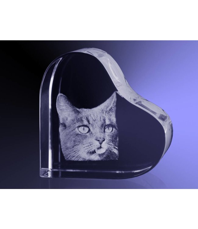 2D foto in glas - Hart Middel  70x70x37 mm - Kristal Glas