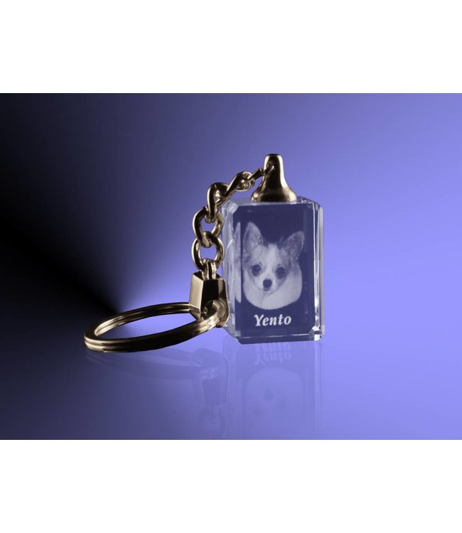 2D foto in glas - Sleutelhanger zonder licht 2x3x1,5 cm - Kristal Glas