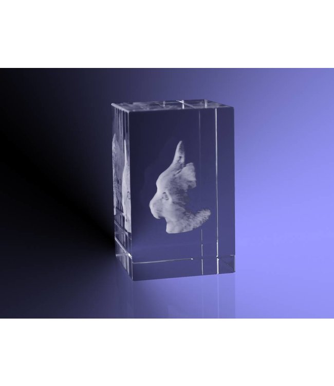 3D foto in glas - Rechthoek Blok - 3x3x4 cm  - Kristal Glas