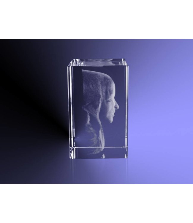 3D foto in glas - Rechthoek Blok - 3x3x4 cm  - Kristal Glas