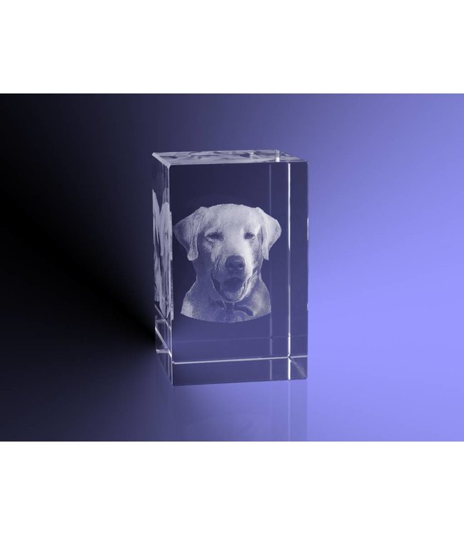 3D foto in glas - Rechthoek Blok - 4x4x6 cm - Kristal Glas