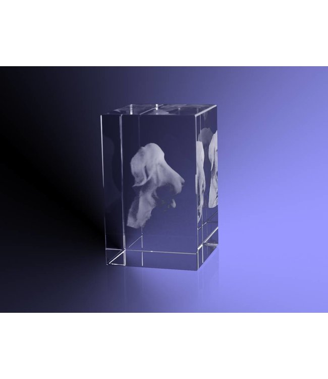3D foto in glas - Rechthoek Blok - 4x4x6 cm - Kristal Glas