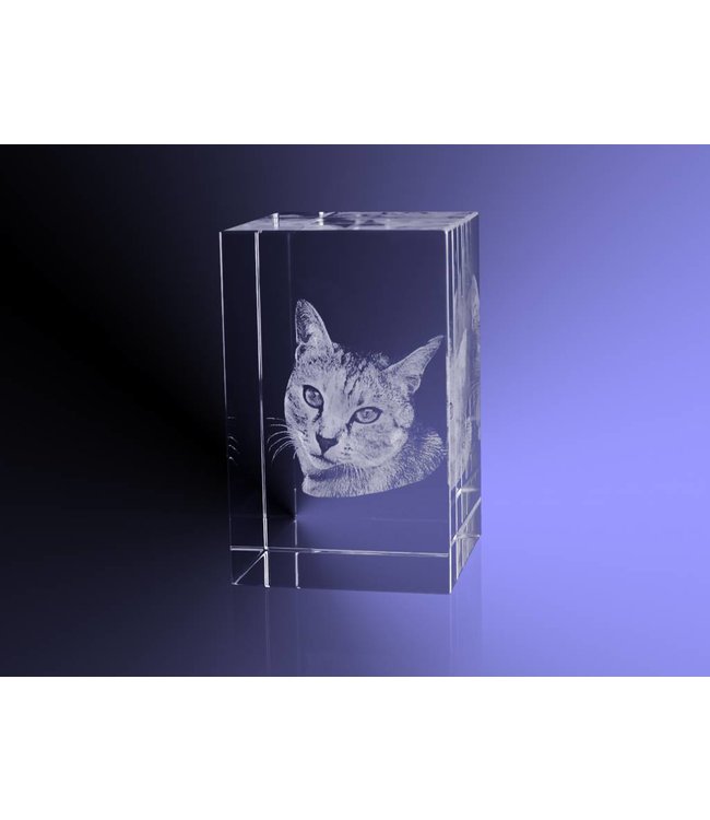 3D foto in glas - Rechthoek Blok - 4x4x6 cm - Kristal Glas