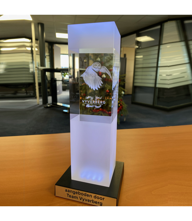 Award "Pilaar White" met 3D gravure