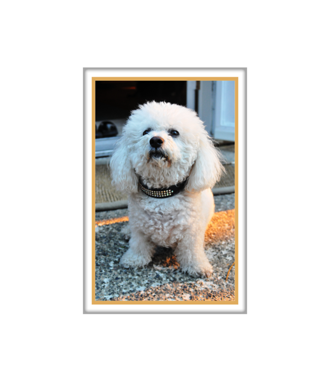 Foto op porselein rechthoek met gouden rand