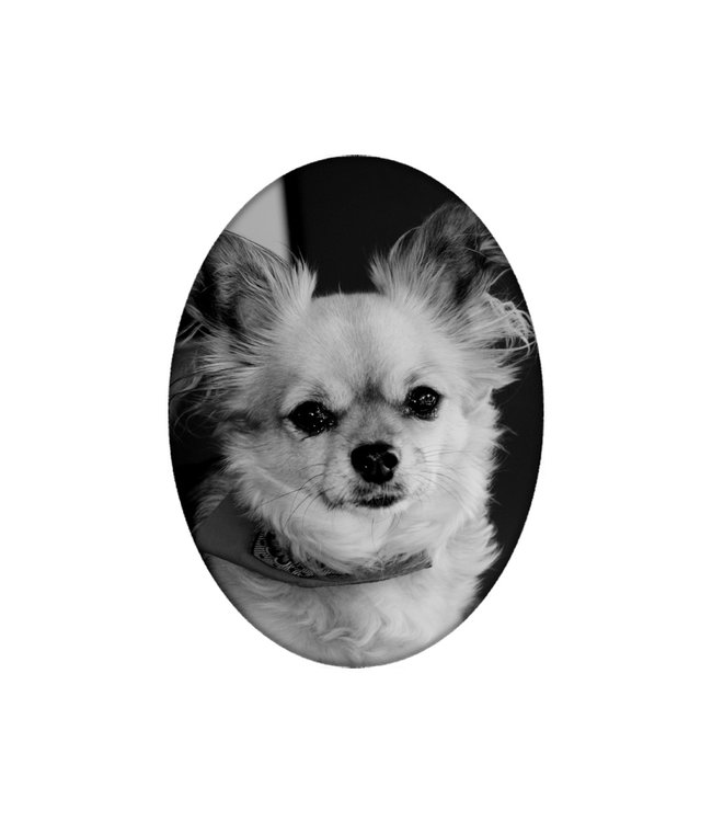 Foto op porselein Ovaal zonder rand (volledige print)