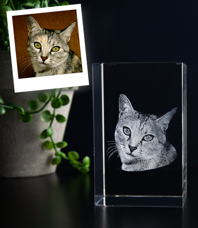 3D foto in glas - Rechthoek Blok - 5x5x8 cm - Kristalglas