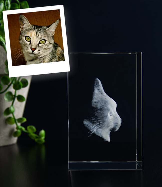 3D foto in glas - Rechthoek Blok - 5x5x8 cm - Kristalglas