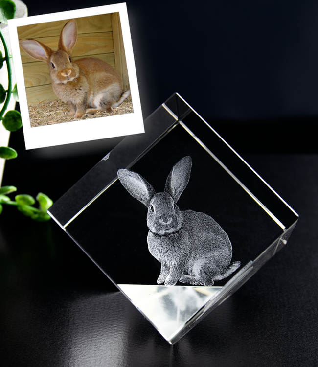 3D foto in glas - Kubus 6 cm staand op hoek - Kristal Glas