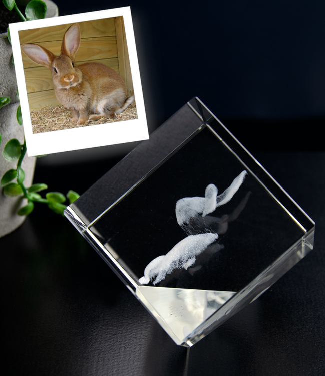 3D foto in glas - Kubus 6 cm staand op hoek - Kristal Glas