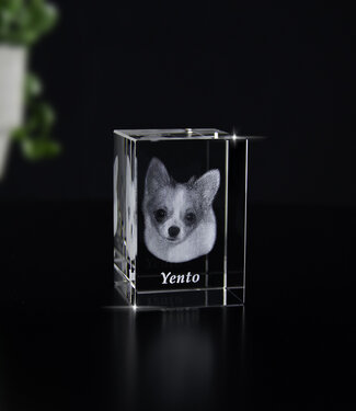 2D Foto in glas - Rechthoek blok 4x4x6 cm -  Kristal Glas