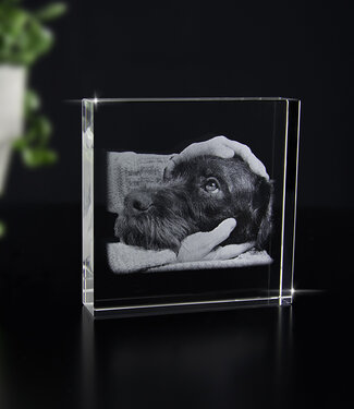 2D foto in glas - Vierkant blok  8x8x2 cm - Kristal Glas