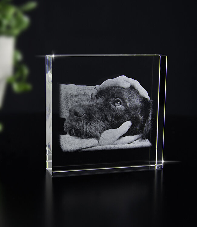 2D foto in glas - Vierkant blok  8x8x2 cm - Kristal Glas