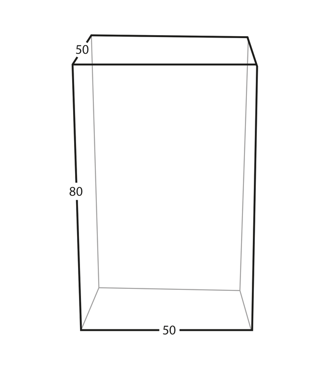 3D foto in glas - Rechthoek Blok - 5x5x8 cm - Kristalglas
