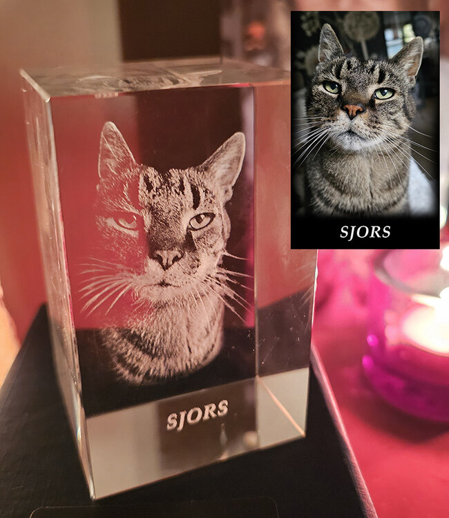 3D foto in glas - Rechthoek Blok - 5x5x8 cm - Kristalglas