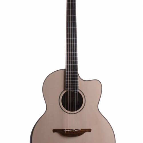 Acoustic Guitars