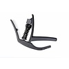 Planet Waves NS Artist capo