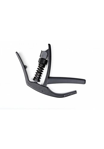 Planet Waves Planet Waves NS Artist capo