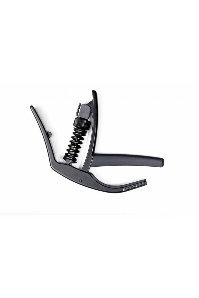 Planet Waves NS Artist capo