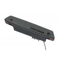 Fishman Rare Earth | Single coil | soundhole pickup