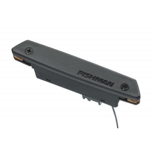 Fishman Fishman Rare Earth | Single coil | soundhole pickup