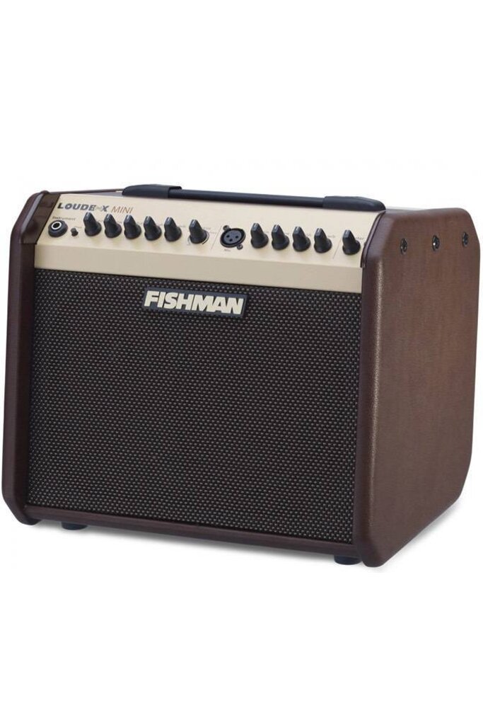 Fishman Loudbox Mini 60 amplifier