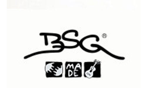 BSG