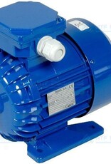 Elektromotor 3 Fasen 250 Watt