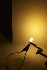 Led 10mm Diffuus true Warm Wit