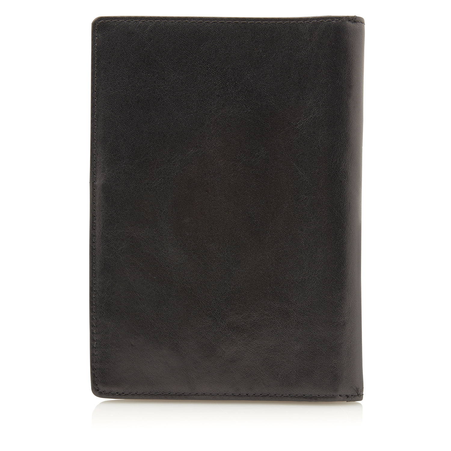 Castelijn en Beerens Gaucho 427501 zw