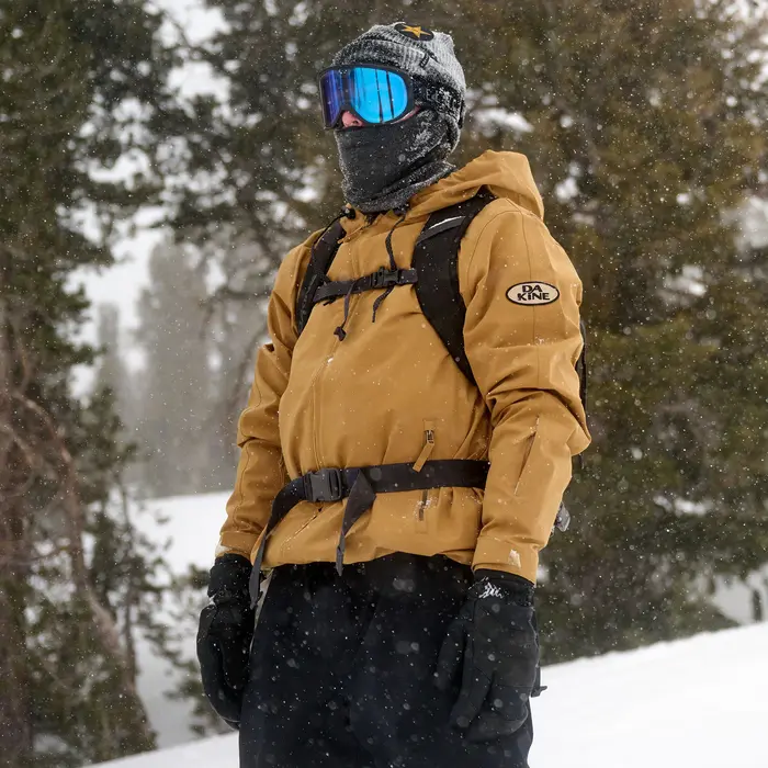 Dakine Dakine Heli Pro backpack 20L mulled basil