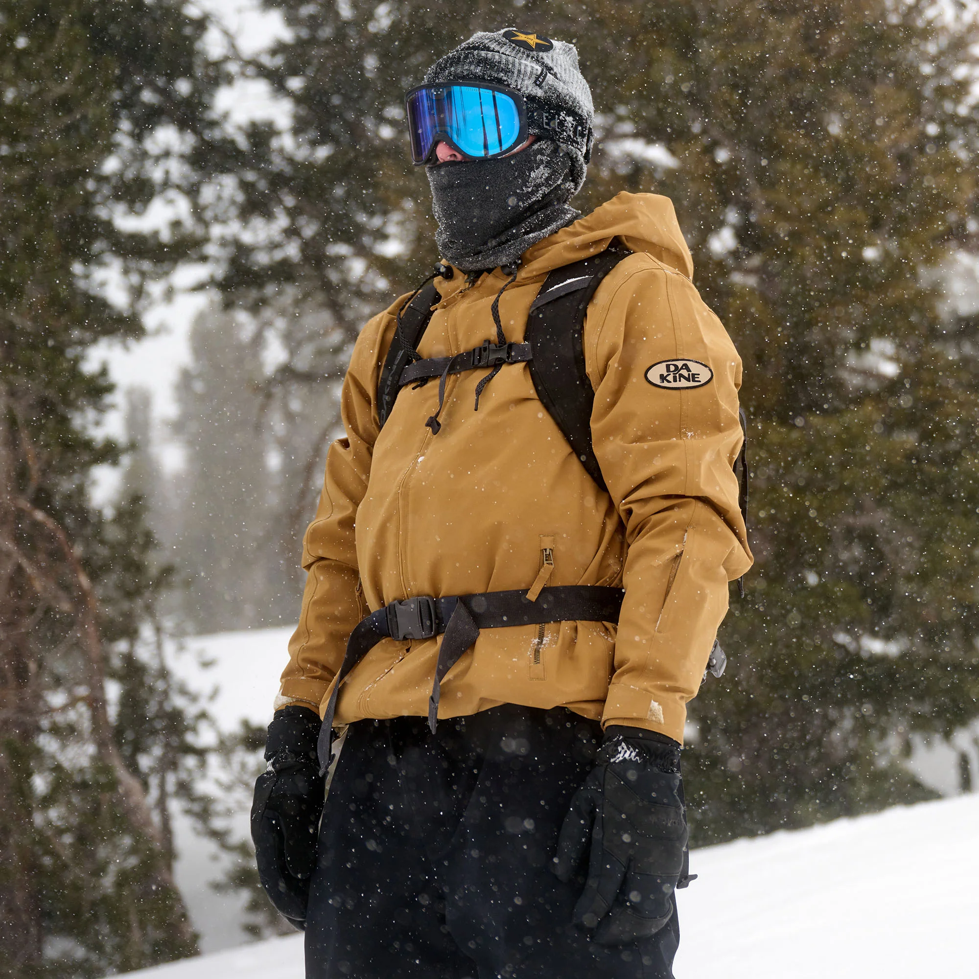 Dakine Dakine Heli Pro backpack 20L mulled basil