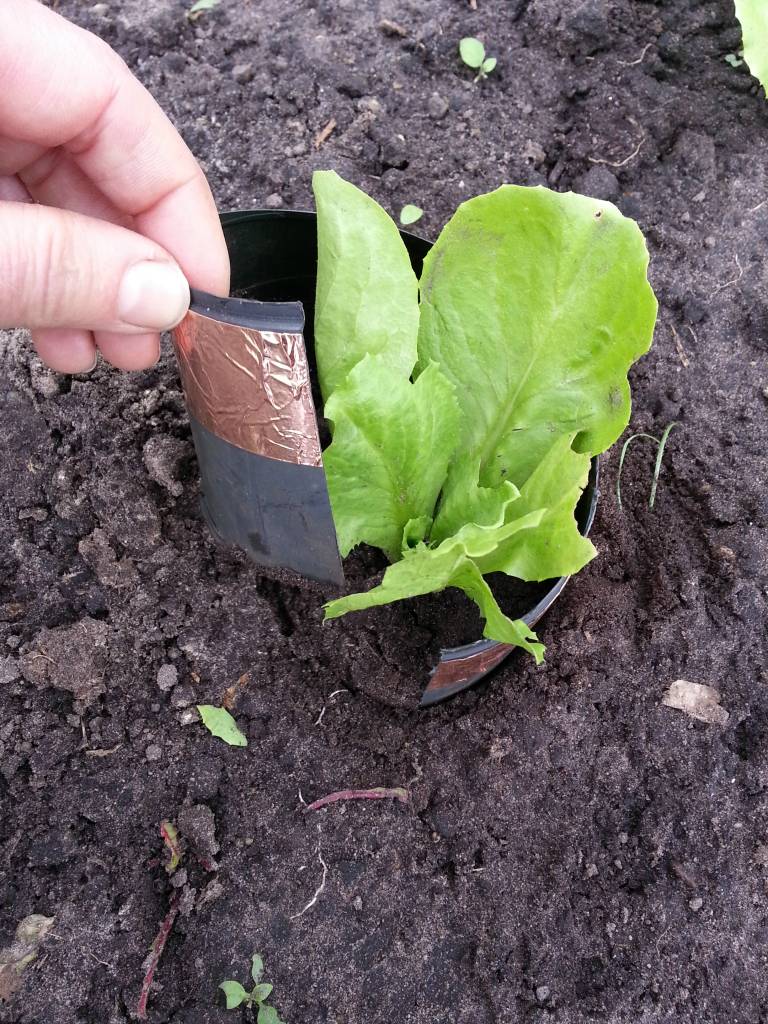 Anti Slakken Tape, zorgt voor slak vrije bloempotten!