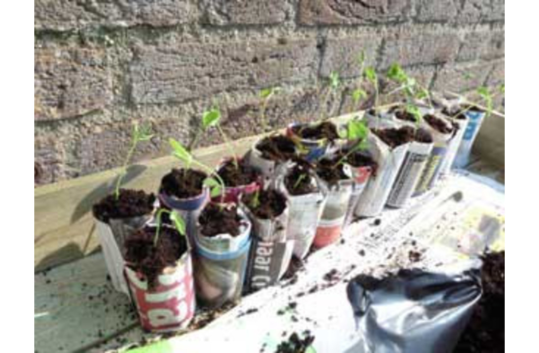 Papieren potjes maker