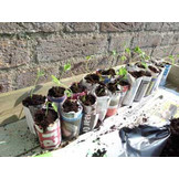 Papieren potjes maker