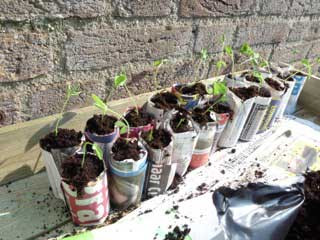 Papieren potjes maker