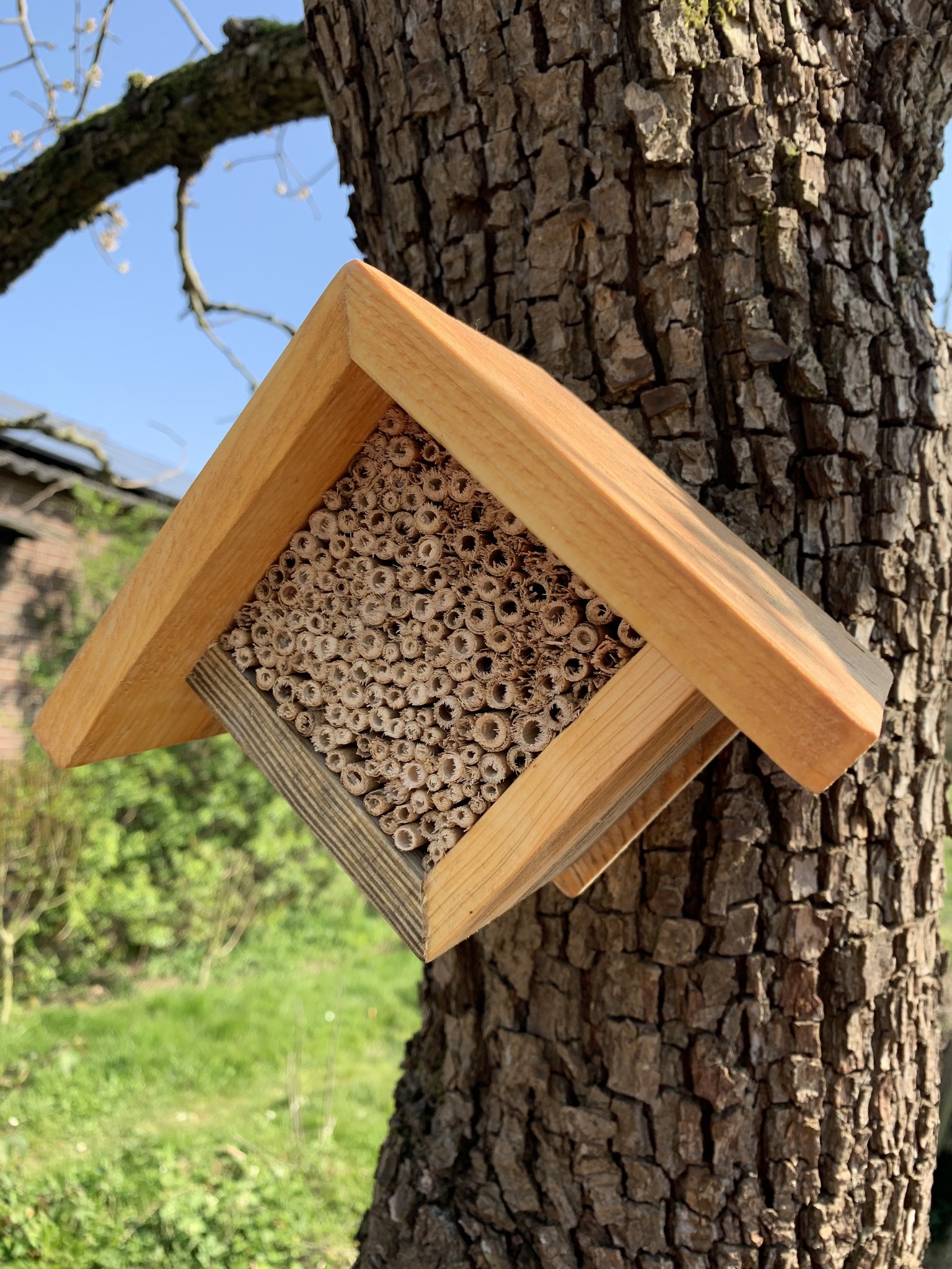 Kleinere bijenhotel voor wilde bijen e.a. nuttige insecten