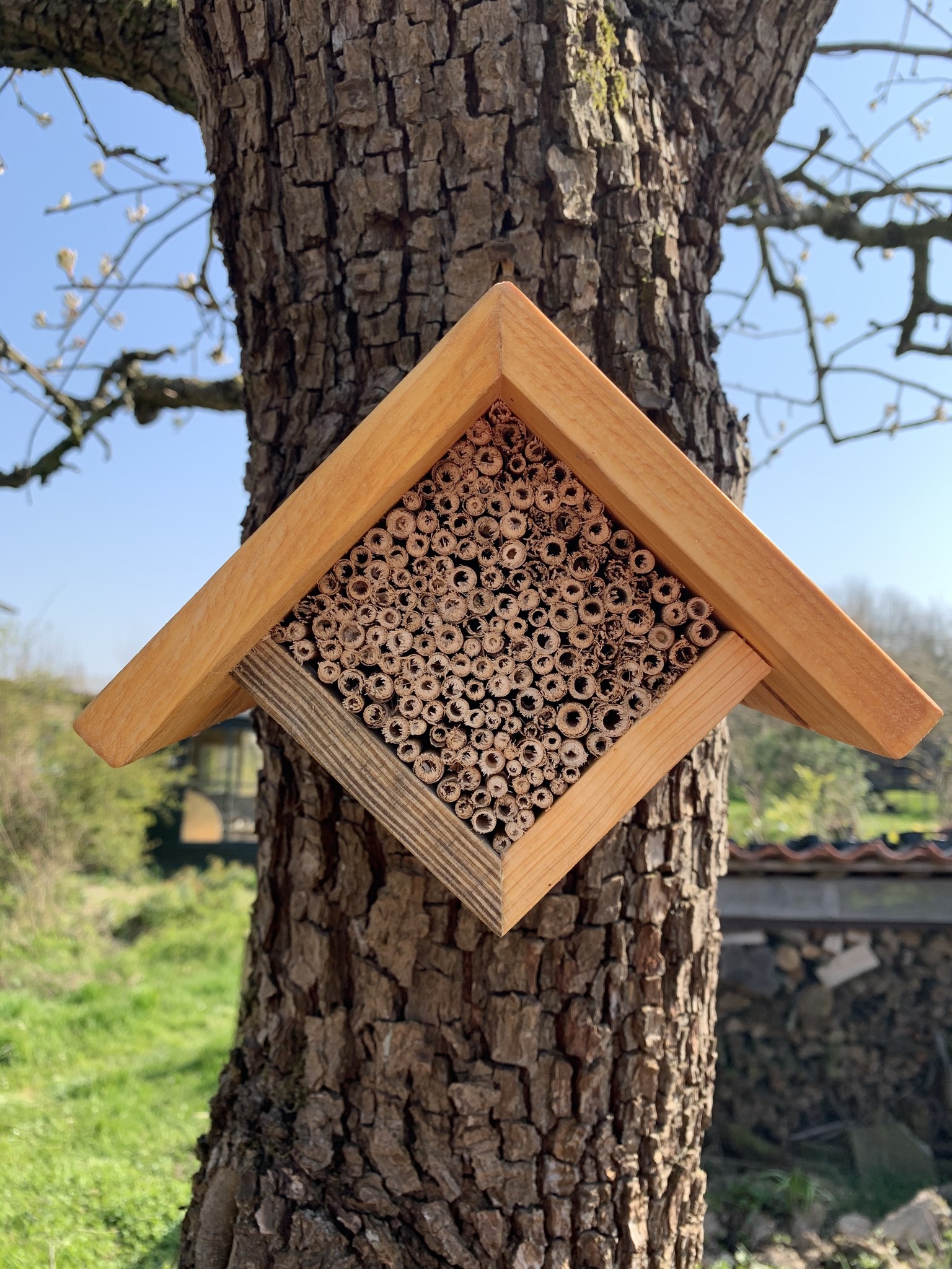 Kleinere bijenhotel voor wilde bijen e.a. nuttige insecten