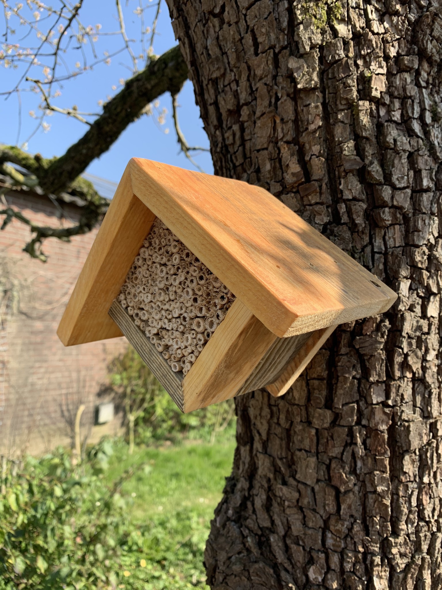 Kleinere bijenhotel voor wilde bijen e.a. nuttige insecten