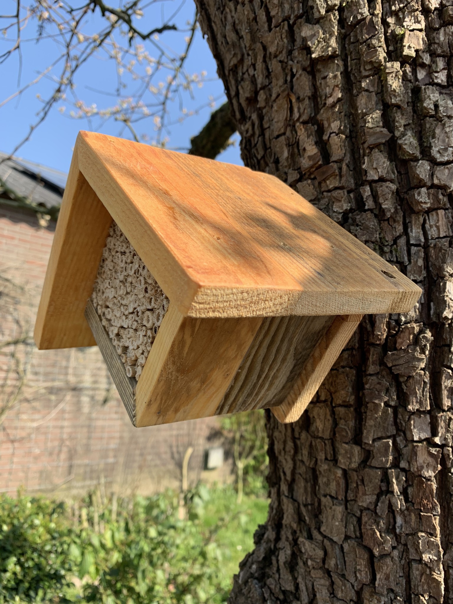 Kleinere bijenhotel voor wilde bijen e.a. nuttige insecten