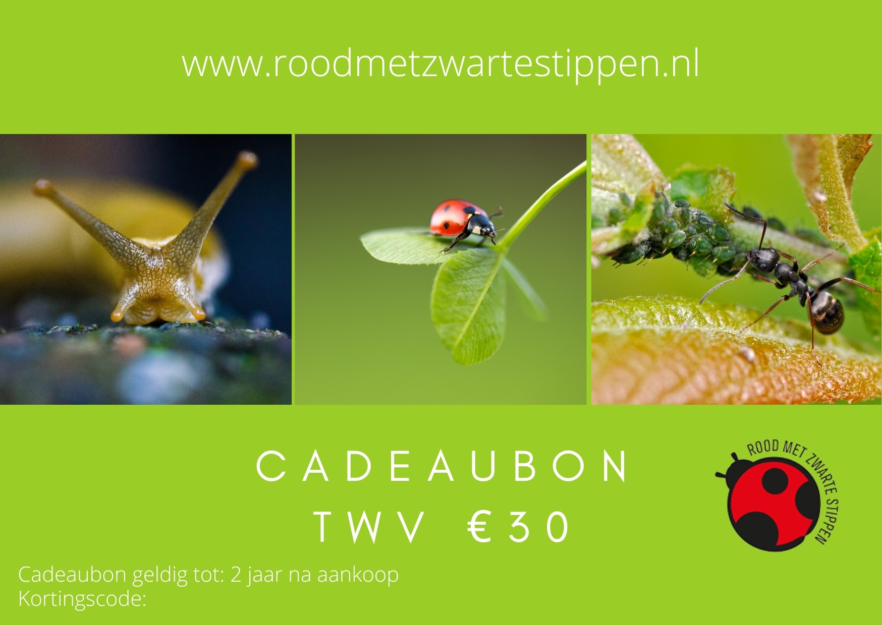 Cadeaubon € 30,- Rood met Zwarte Stippen