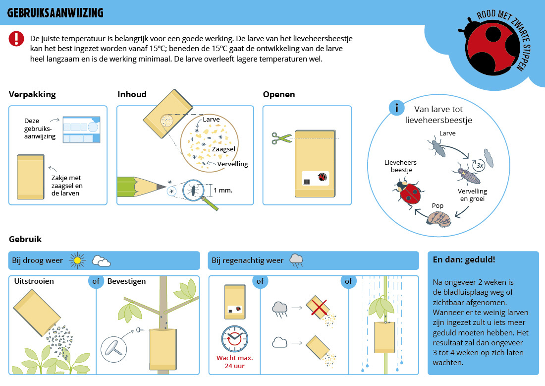 50 Larven van lieveheersbeestje tegen bladluis