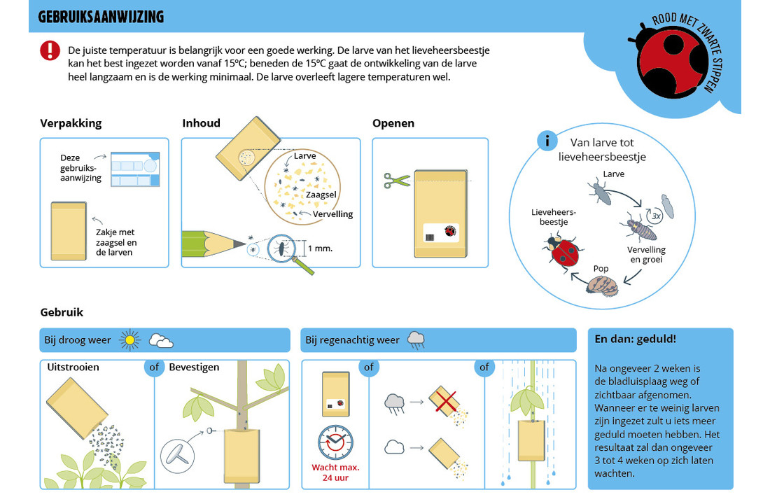 250 Larven van lieveheersbeestje tegen bladluis