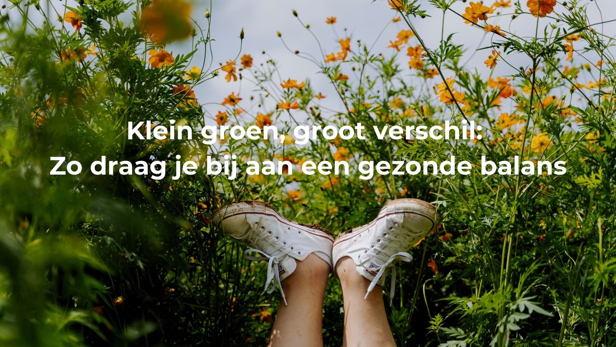 Klein groen, groot verschil:  Zo draag je bij aan een gezonde balans