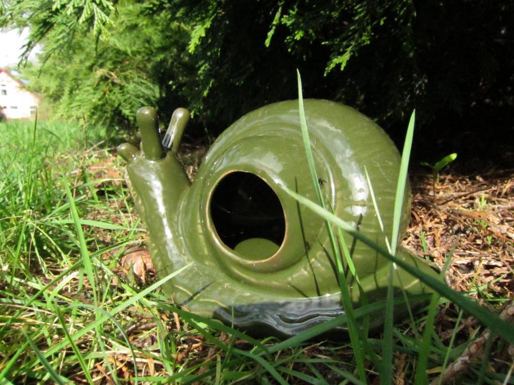 Slakkenval om slakken te vangen