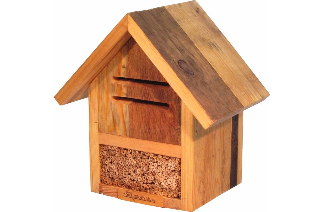 Insectenhotel lieveheersbeestjes en wilde bijen