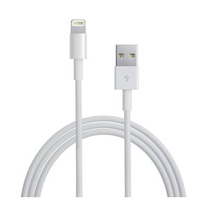 Apple Lightning USB cable