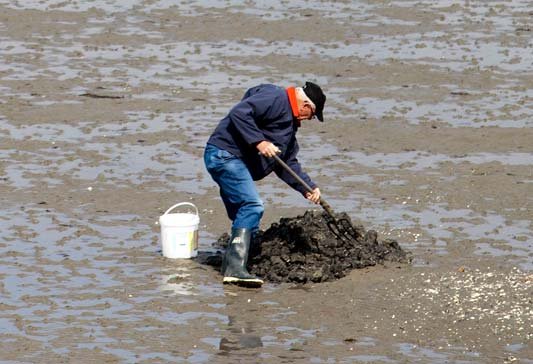 Zeevissen is zeker wel een sport! Zeevissen is zeker wel een sport!