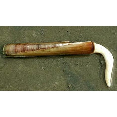 Mesheften Diepvies 500 Gram - Uitsluitend in winkel afhalen Mesheften Diepvies 500 Gram - Uitsluitend in winkel afhalen