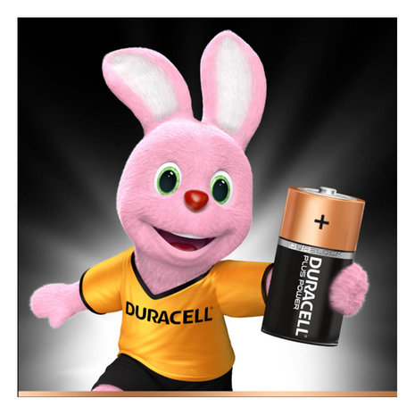 Duracell C LR14 x2 Plus Power Batterijen Duracell C LR14 x2 Plus Power Batterijen